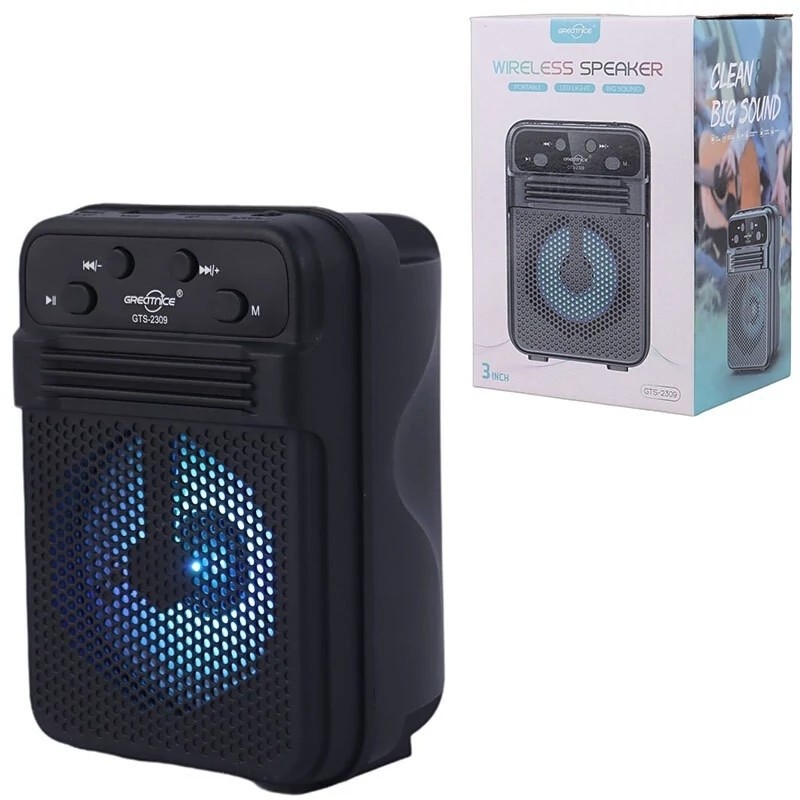 اسپیکر گریت نایس GTS 2309