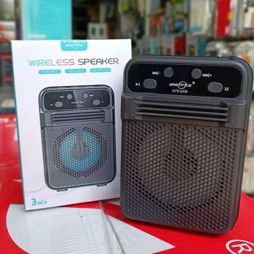 اسپیکر گریت نایس GTS 2309