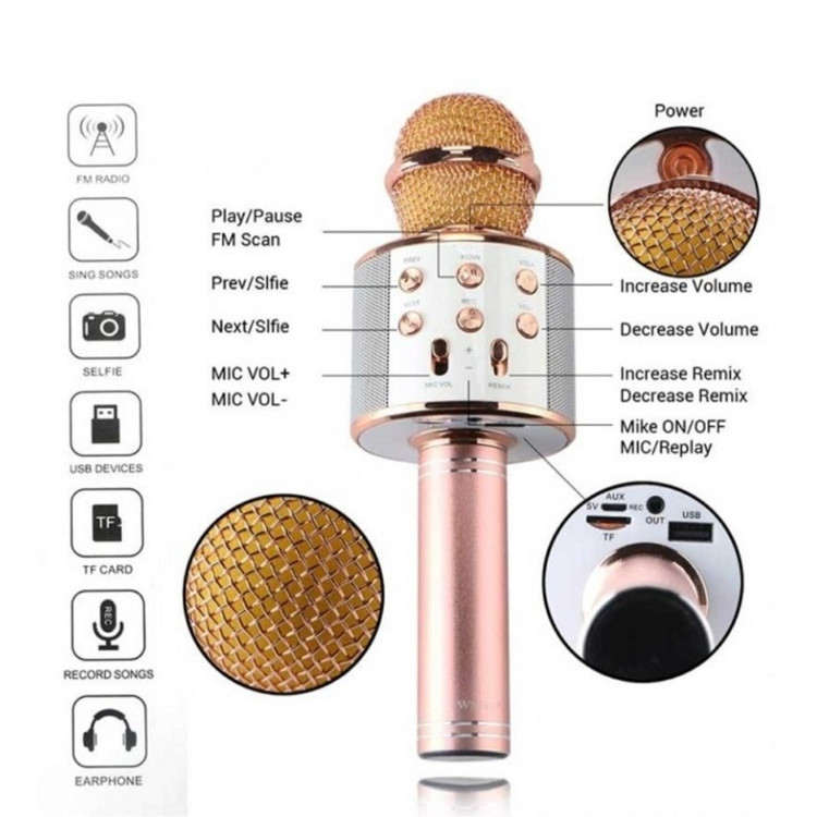 میکروفون اسپیکر اصل WSTER-WS-858