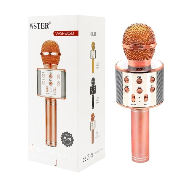 میکروفون اسپیکر اصل WSTER-WS-858