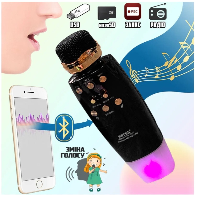 میکروفون اسپیکر  WSTER-WS-2011